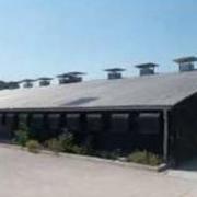 Mr Clay Burrows of Aviagen Turkeys Ltd has applied to Denbighshire, seeking planning permission to demolish his existing seven poultry sheds, replacing them with two linked units at his farm at Bryn Golau, Saron, Denbigh..