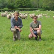 Will (left) and Sam Sawday: breeding sheep fit for regenerative-style farming. Picture: Debbie James