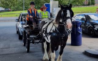Penny and Ozzy call in at Tesco petrol station in Llandrindod
