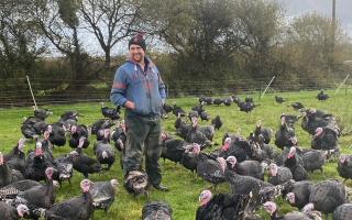 David from Postance Poultry, one of only 30 turkey farms in the UK, and the only farm in Wales